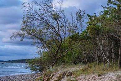 英超激烈争夺，豪门战火升腾