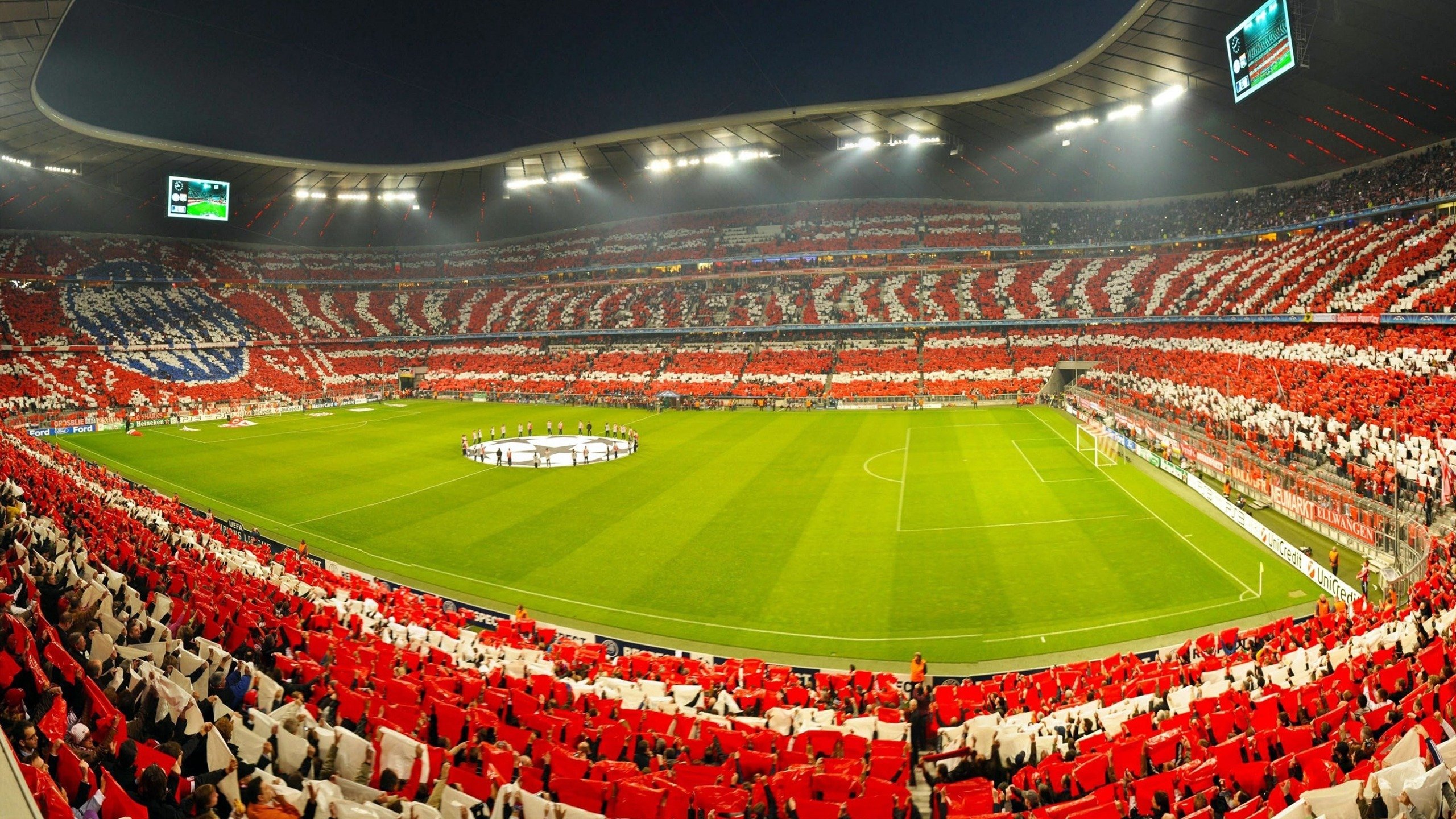 APP下载 LY Sports-澳大利亚团队赛制解析：如何通过赛制优化提高团队整体实力，澳大利亚顶级联赛