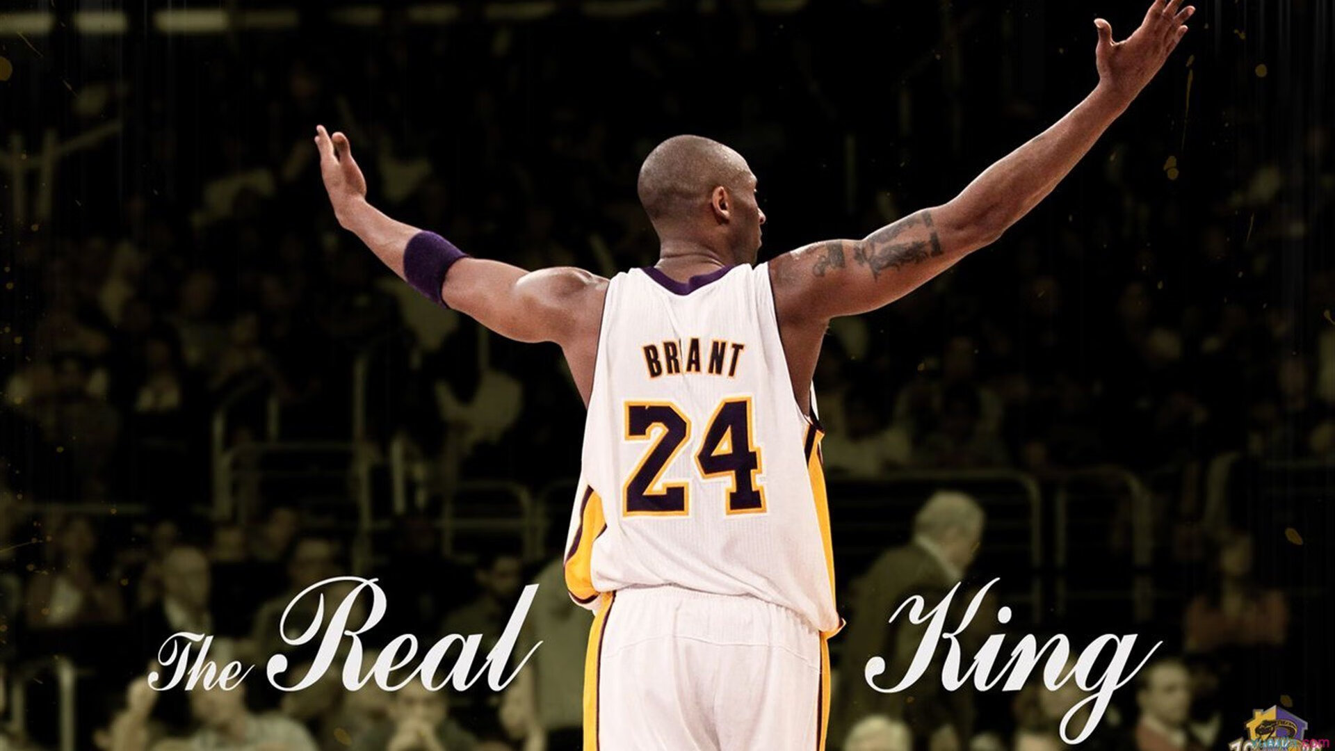 水球突尼斯男队战术切换灵活